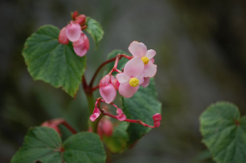 ���イ�����ǂ�