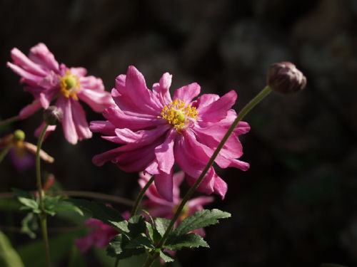 ���イ�߂�����