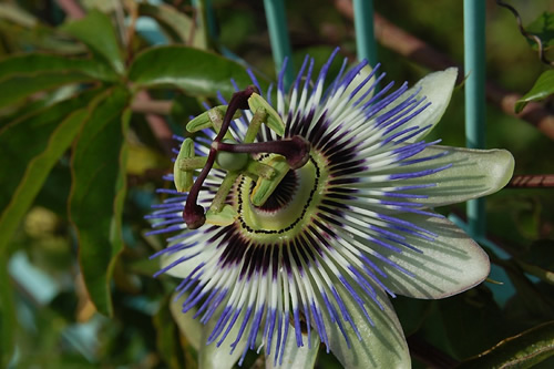 �Ƃ�������