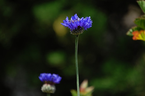 �₮��܂���