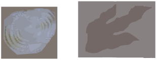 体化石（左　フズリナ）と生痕化石（右　恐竜の足跡）