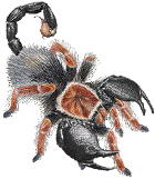 スコーピオンスパイダー