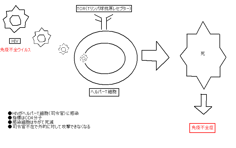 �G�C�Y�@�Ɖu�s�S