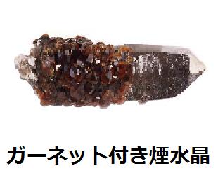 �K�[�l�b�g�t��������