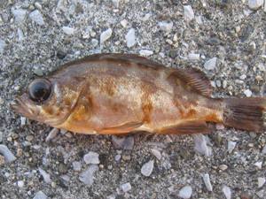 ���o��A�^