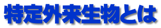 特定外来生物とは 