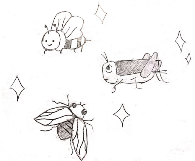 Image of insects