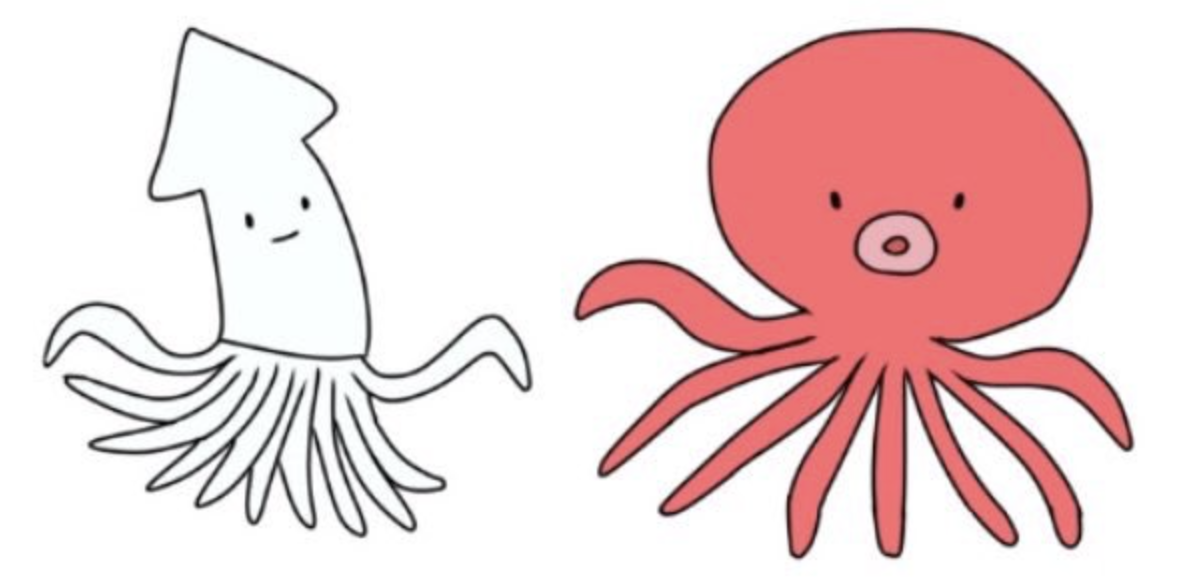Image of octopuse and squid