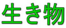 生き物