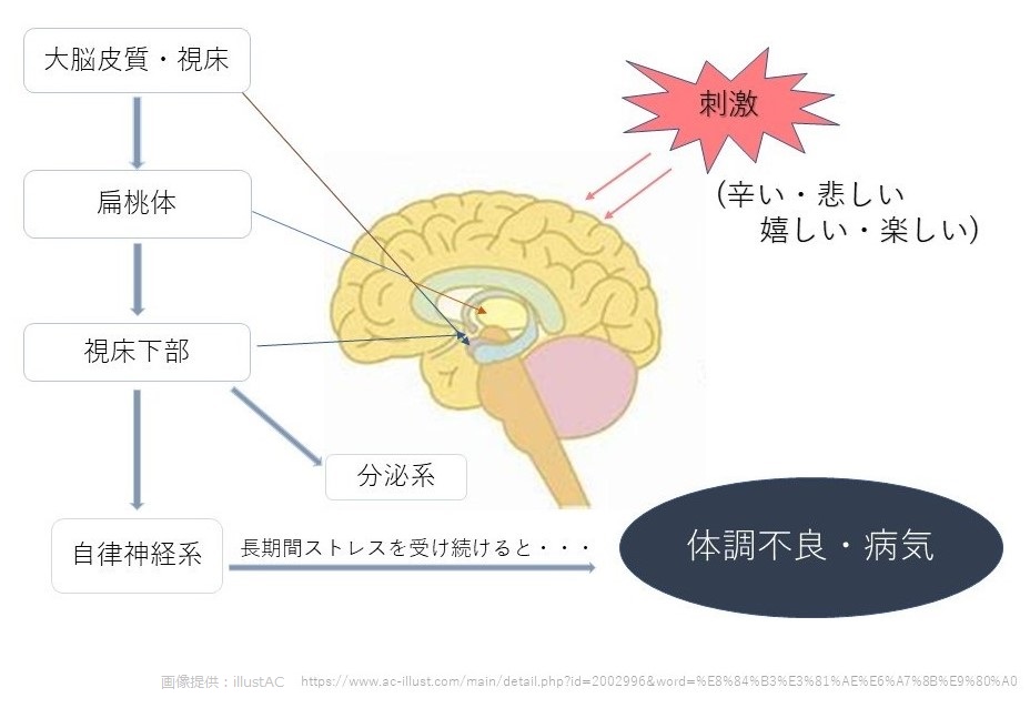 ストレスの仕組み