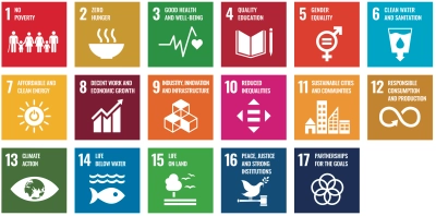 Image of SDGs list