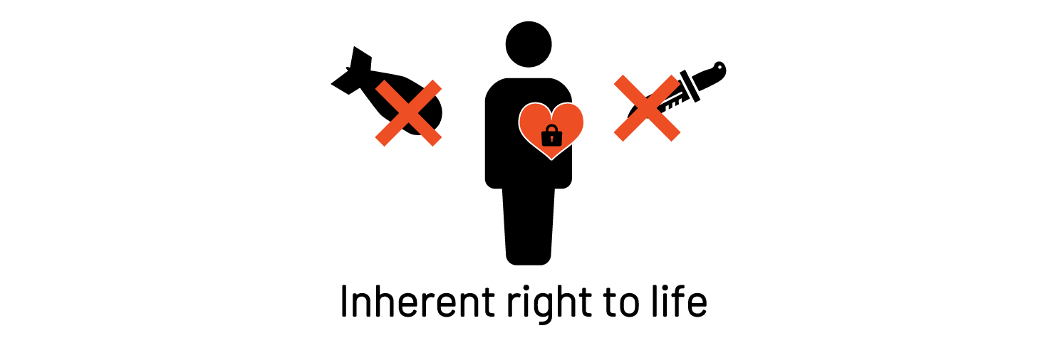 子どもの持つ、生命への固有の権利について表した図