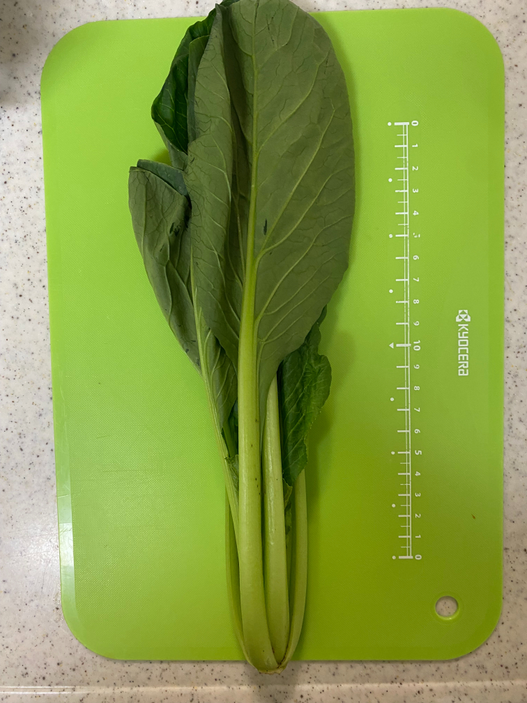 袋から出した時の写真