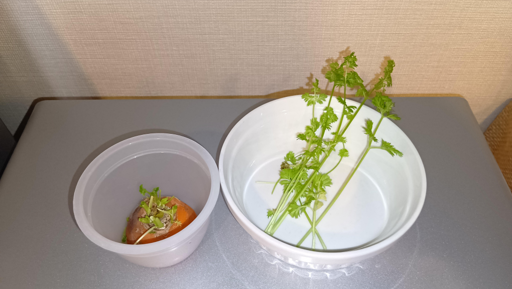 収穫したにんじんの葉の写真