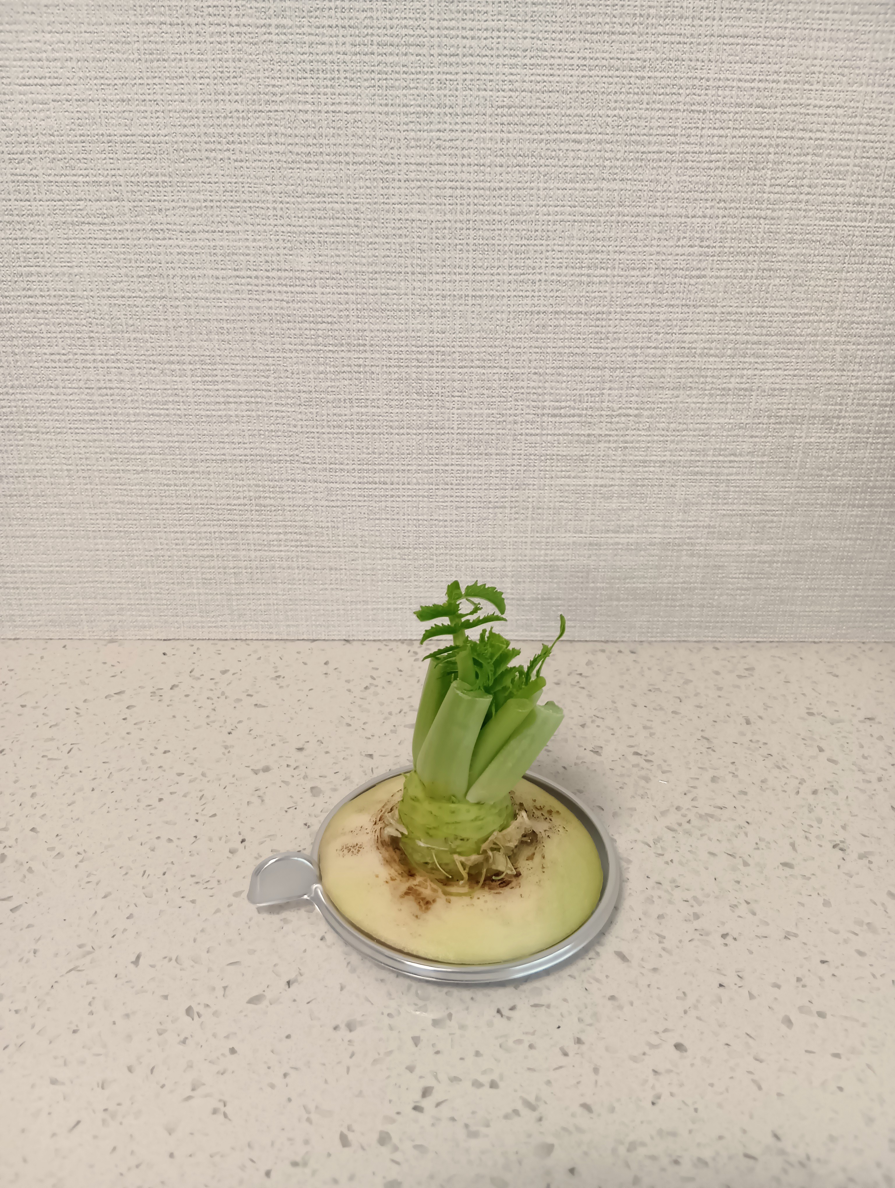 手軽に始められる